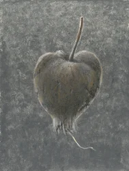 Barringtonia Acutangula (akryyli paperille)